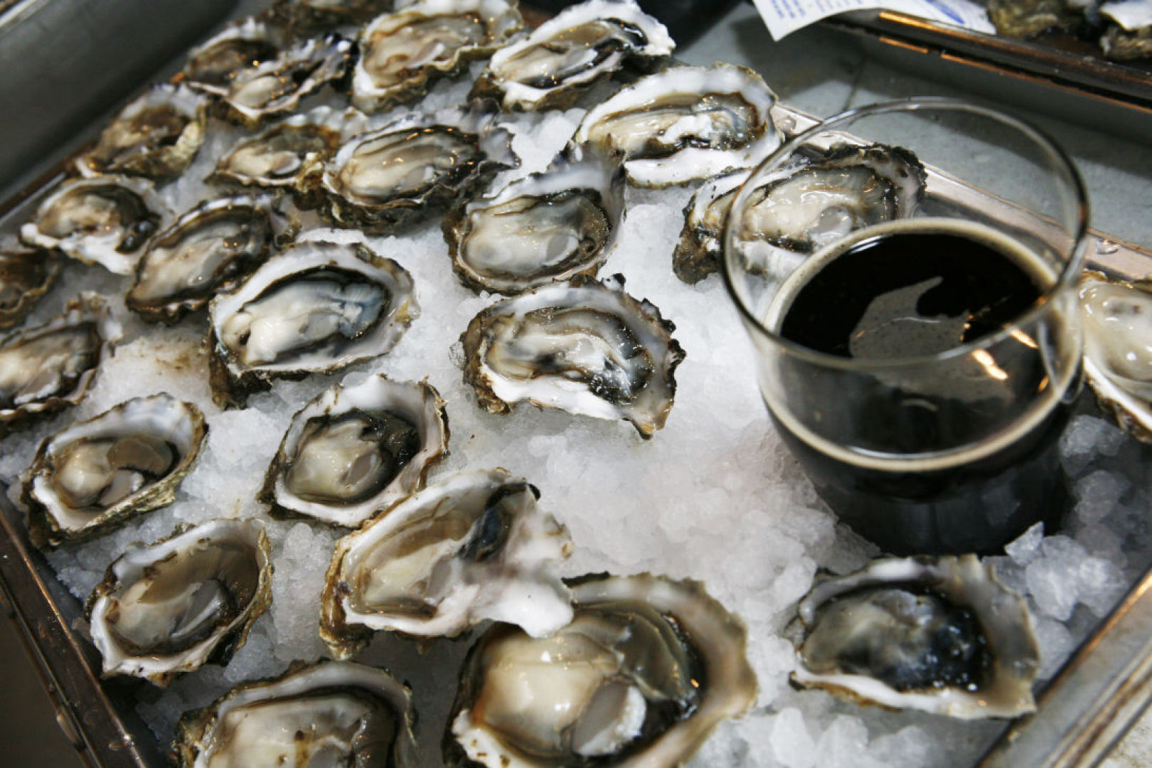 Schlafly's Stout and Oyster Festival